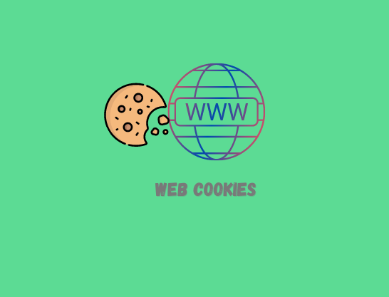 Web Cookies Bangla | Type and  Explain