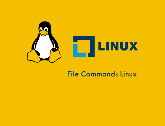 File Command Linux Bangla Tutorial
