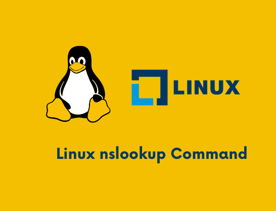 Nslookup Command Bangla Explain – Linux Tutorial