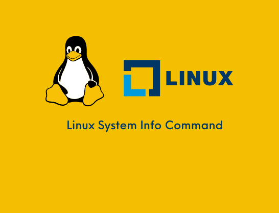 Linux Tutorial Bangla System Info Command