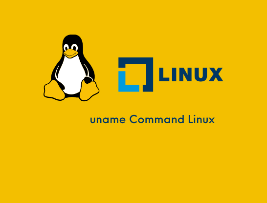 Uname Command Linux Bangla Tutorial